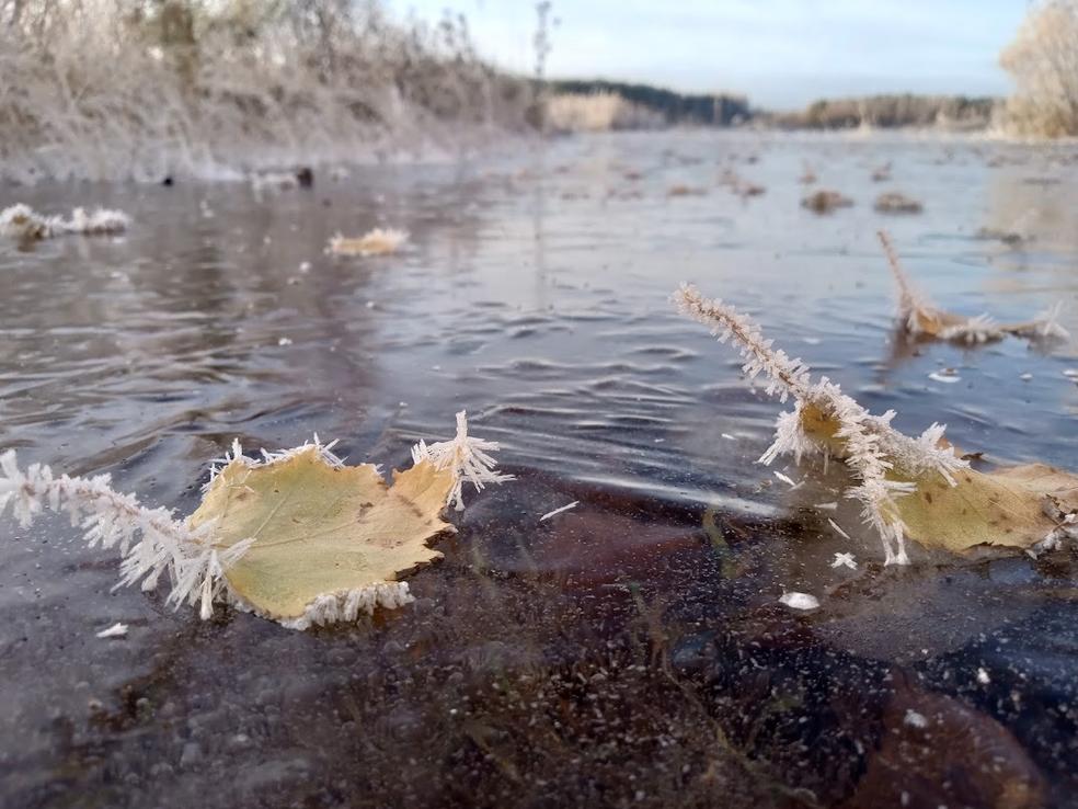 Kaksi kieltä - yksi tarina; Kun toinen kieli jää pois –pohdintoja erilaisesta matkasta ja  viittomakielestä  by VSM ~Valoisien sanojen matka~